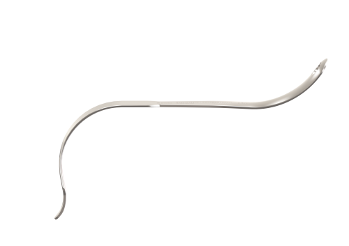 Blunt side view